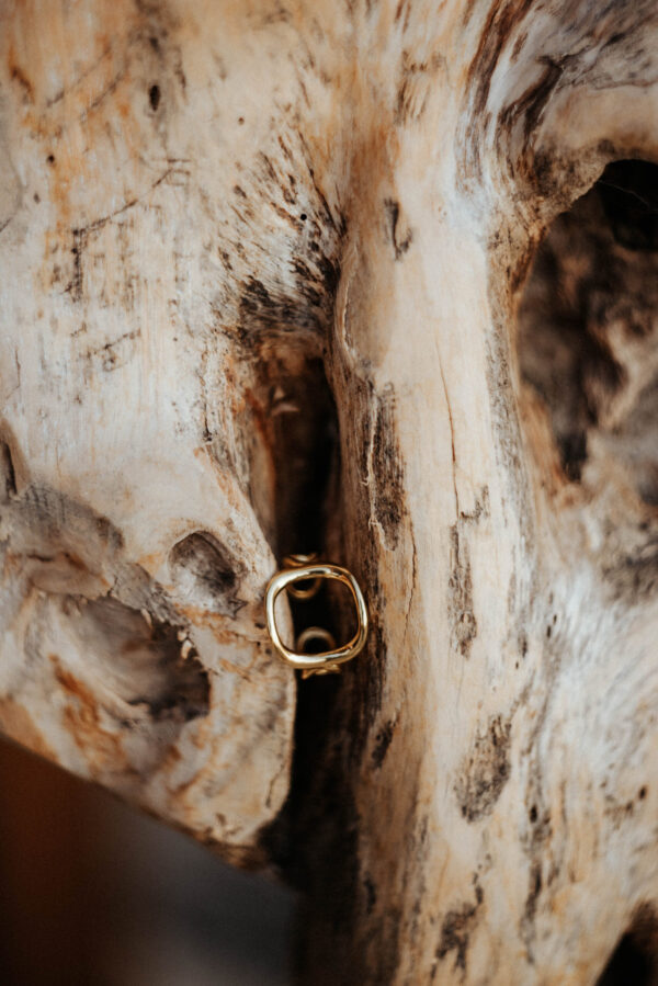 EARTH RING GOLD