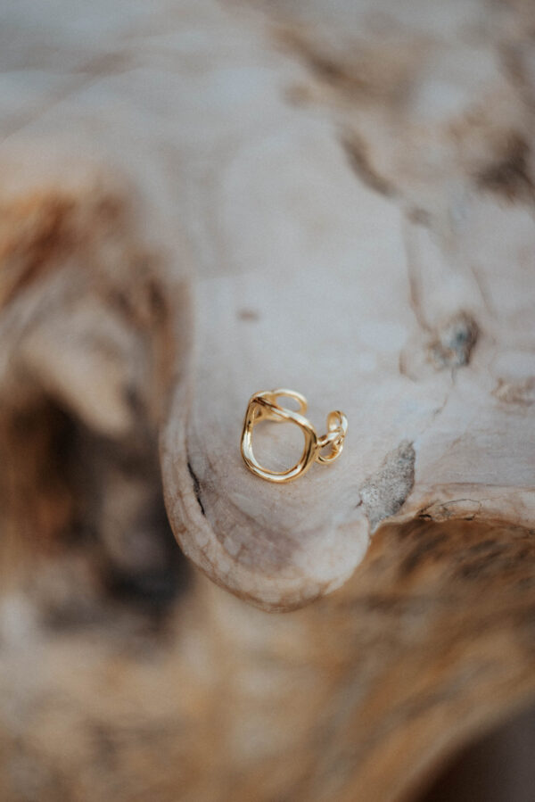 EARTH RING GOLD - Image 2