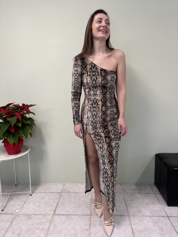SNAKE VELVET DRESS
